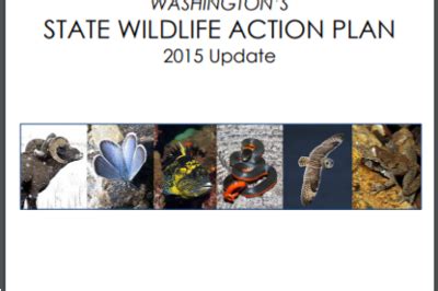 wisconsin state wildlife action plan