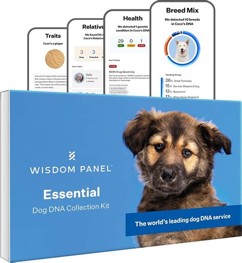 wisdom panel essential dog dna kit
