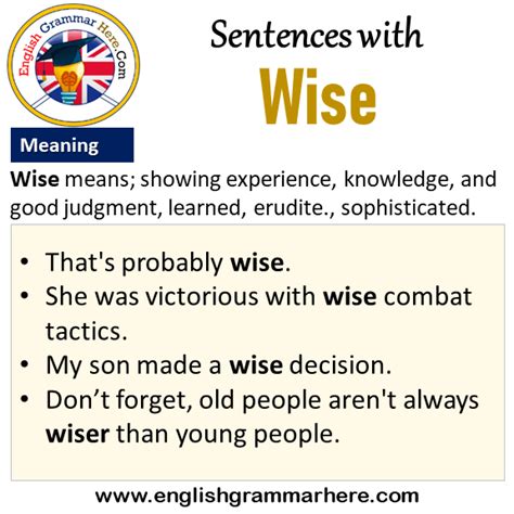 wise meaning in simple words