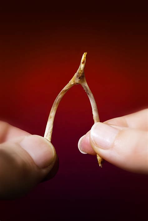 wishbone