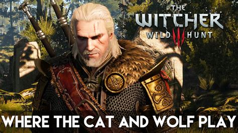 Witcher 3 Free DLC "Where The Cat And Wolf Play" Quest YouTube