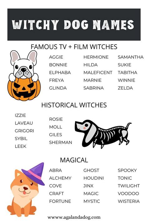 witchy names for girl dogs