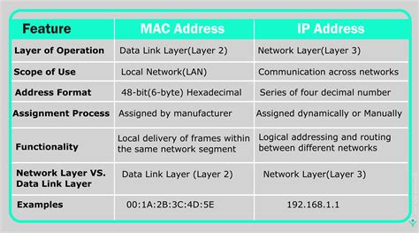 with reference to networking explain mac address and ip address