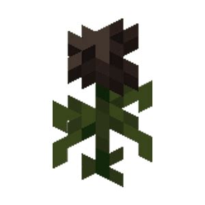 Discover the Mystery of Wither Rose Minecraft Secrets