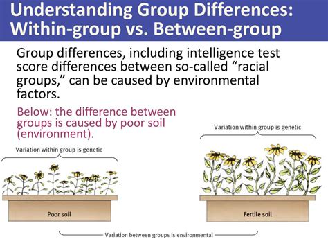 Within Group Vs Between Group
