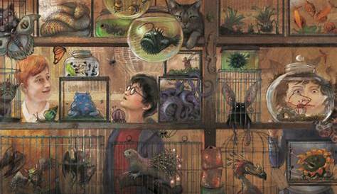 Wizarding World Pet Quiz Pin On Harry Potter