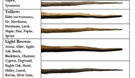 The Wizarding World of Harry Potter Interactive Wand Guide