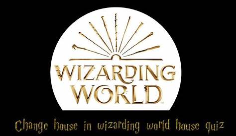 Wizardly World House Quiz Boys' Harry Potter Deluxe Movie Costume In 2022