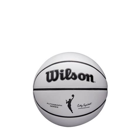Wnba Mini Basketball