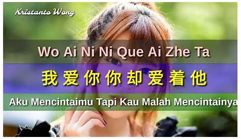 Wo Ceng Yong Xin De Lai Ai Zhe Ni - 我曾用心的来爱着你 - (Lyric ) - YouTube