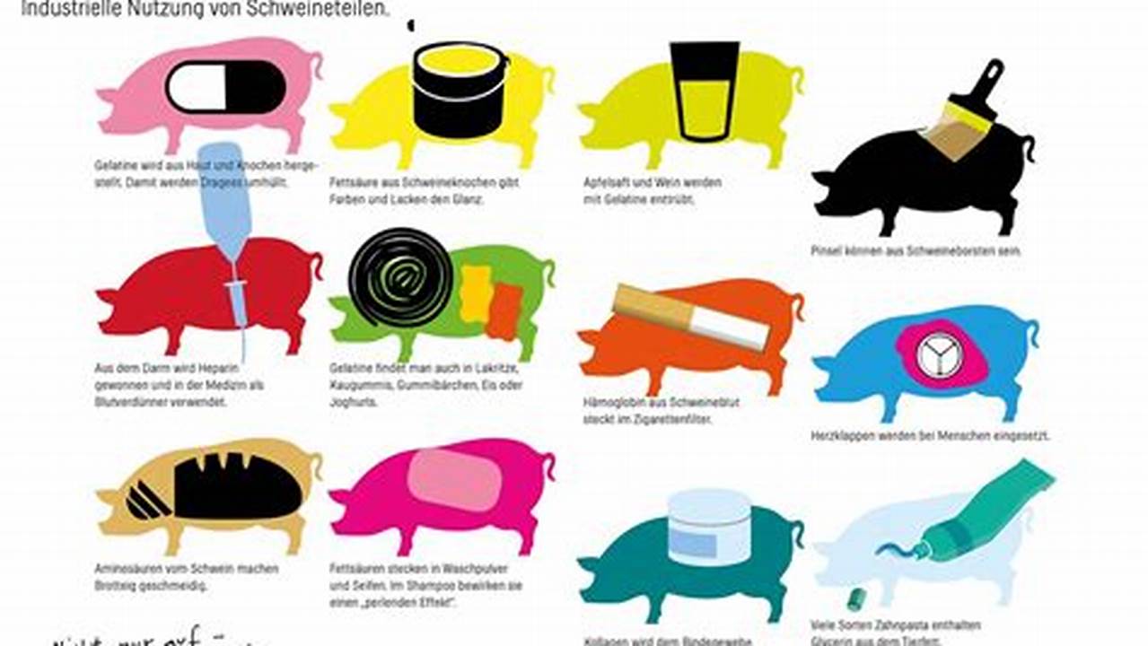 Entdecken Sie das Schweinefleisch-Geheimnis: Die ultimative Liste