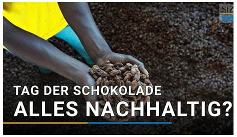 Von der Kakaofrucht zur Schokolade | WBF - Innovative Medien für den
