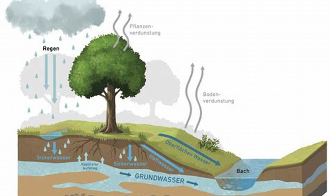 Wo kommt unser wertvolles Wasser her? Erstaunliche Entdeckungen und Erkenntnisse