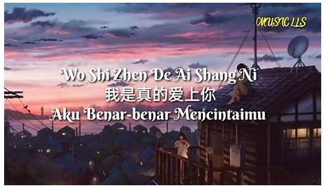 wo shi zhen de ai shang ni - Lyrics - Follow Lyrics