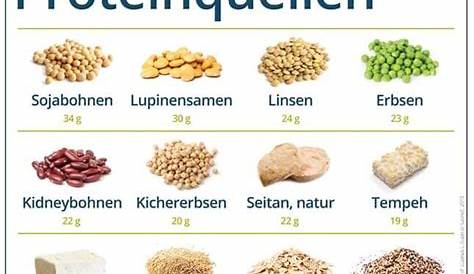 Vegane Proteine – alle Informationen zu pflanzlichem Eiweiß