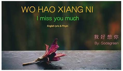 Wordoor Chinese - Useful daily sentences # I miss you！/ Wo xiang ni