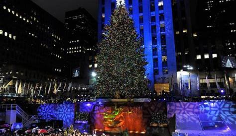 Feiertage - Woher kommt eigentlich die Tradition des Weihnachtsbaums?