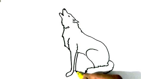 Wolf Drawing Step By Step Pencil at