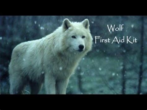 Wolf First Aid Kit Lyrics
