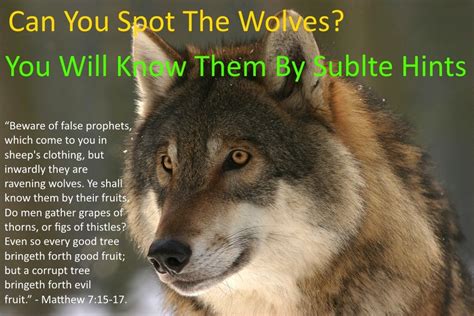 wolf in sheep's clothing kjv