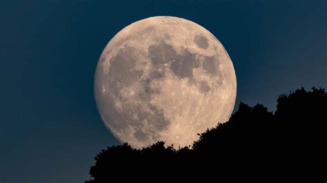 wolf moon 2024 uk dates