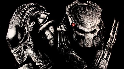Gallery for wolf predator wallpaper