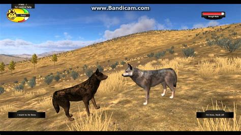 wolf quest 2.7 full game free download