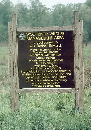 wolf river wildlife management area