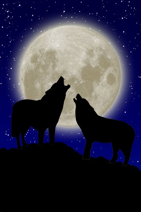 wolf silhouette full moon night sky