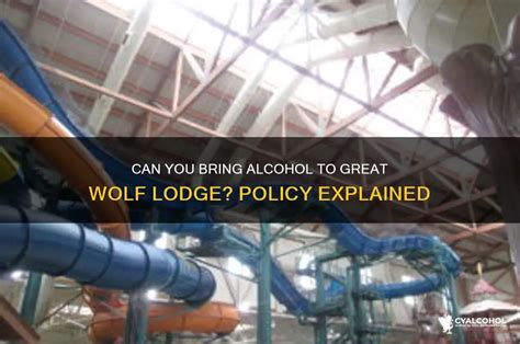 Wolf Trap Elects New Foundation Board and Associates Board of Directors