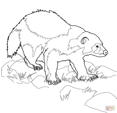 wolverine animal coloring pages printable