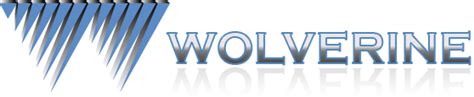 wolverine real estate service inc