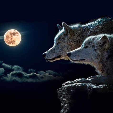 wolves and the moon