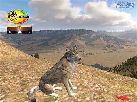 wolves games online