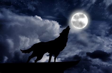 wolves howling at the full moon