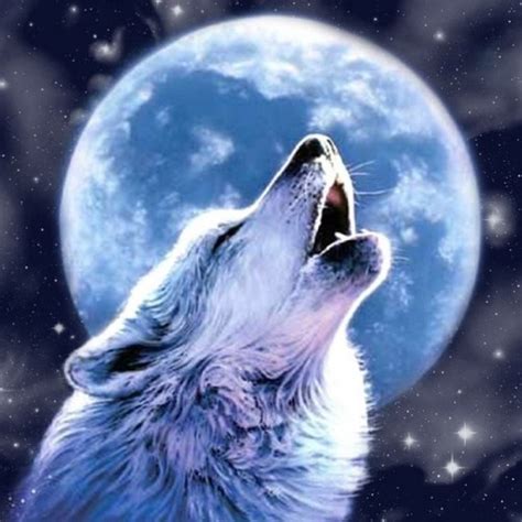 wolves howling at the moon meme