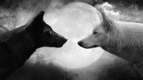 wolves in black and white print