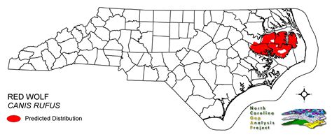 Wolves In Nc Map