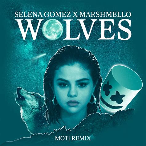 wolves selena gomez traduzione