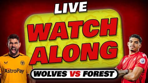 wolves vs forest live