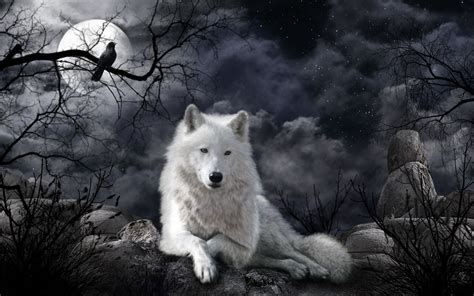 wolves wallpaper for desktop
