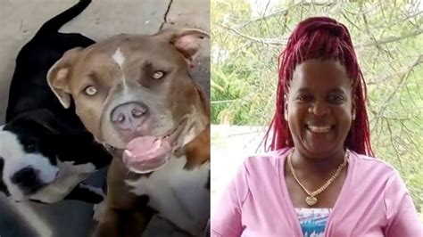 woman killed by pit bull