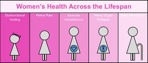 women's health across the lifespan