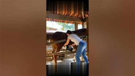 women masturbating horses