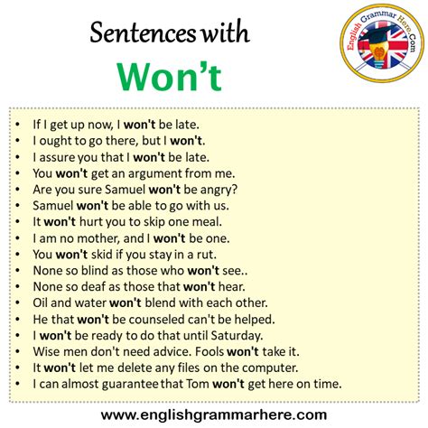 won't example sentence