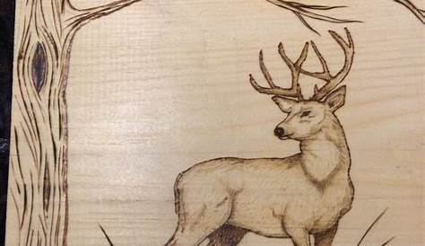Wood Burning Deer Patterns Pin On Wildlife