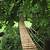 wood plank rope bridge