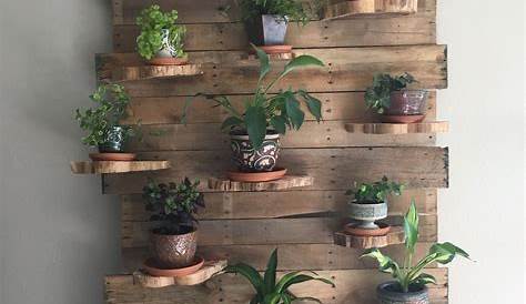 Wood Wall With Plants How To Make Hanging Planters Cork Bark Living