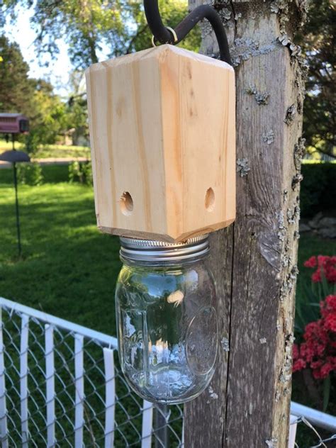 wood bee traps outdoor hanging