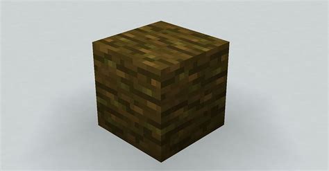 Wood Block In Minecraft